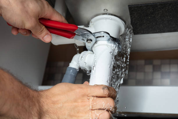Best Mold removal after water damage  in Nettleton, MS