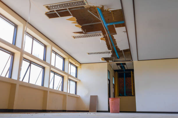 Best Flood restoration services  in Nettleton, MS
