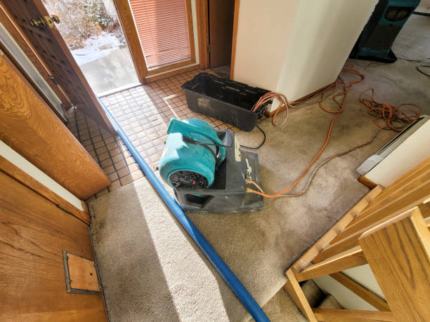Best Water damage restoration cost  in Nettleton, MS