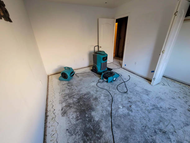 Best Flooded house restoration  in Nettleton, MS
