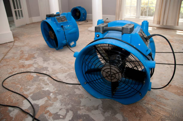 Best 24/7 water damage repair  in Nettleton, MS