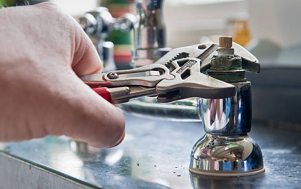 Best Mold removal after water damage  in Nettleton, MS